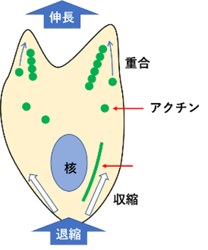 図2