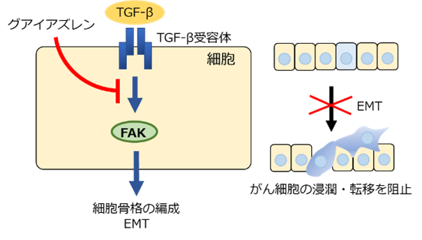 図4